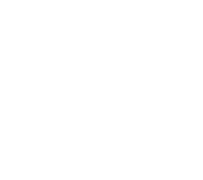 rough trade